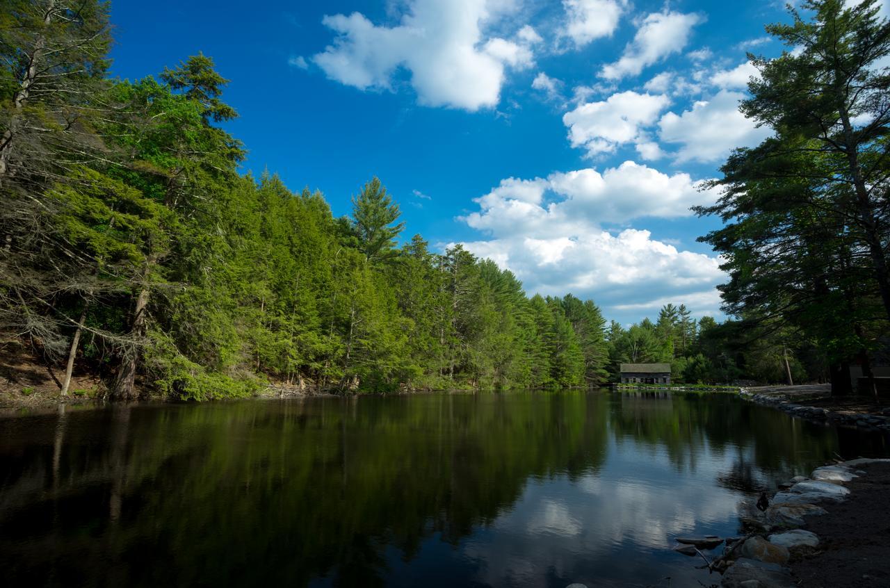 The Cottage In The Pines Cahoonzie Luaran gambar